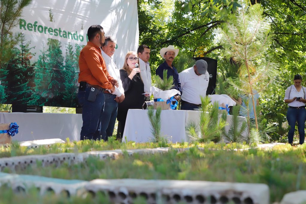 Continúa Gobierno de Esteban “Reforestando Durango”; lleva 200 mil ejemplares a 28 ejidos más.