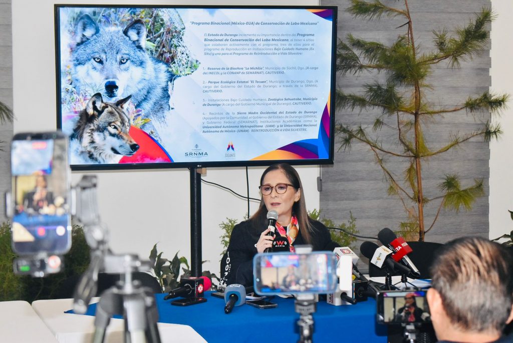 Durango, referente nacional e internacional en la conservación del lobo mexicano