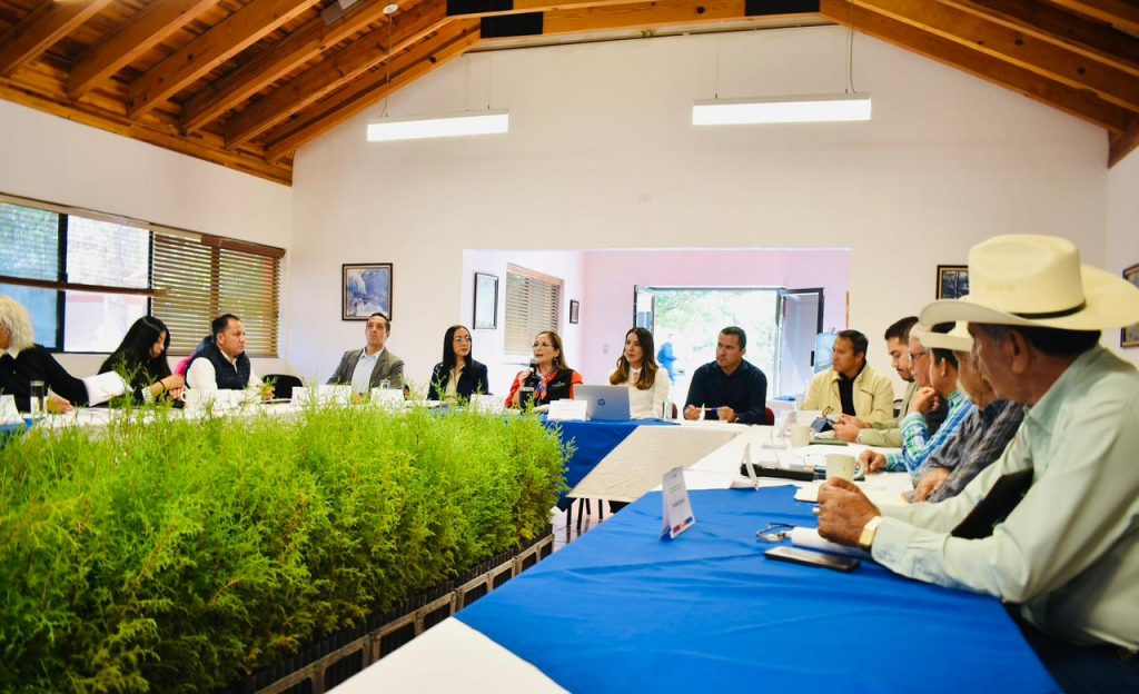 Gobierno del Estado abre Convocatoria para Proyectos de Desarrollo Forestal Sustentable